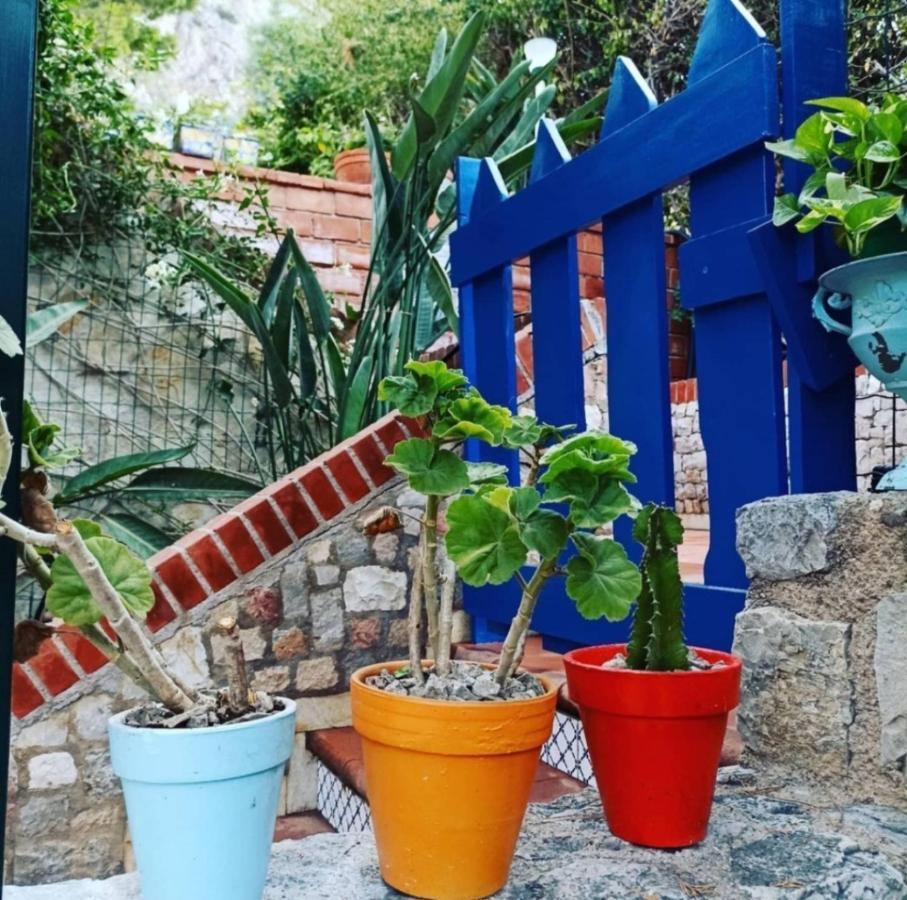 סנטה פלביה Vfh Villa Flavia Eco B&B - 50 Metri Dal Mare מראה חיצוני תמונה